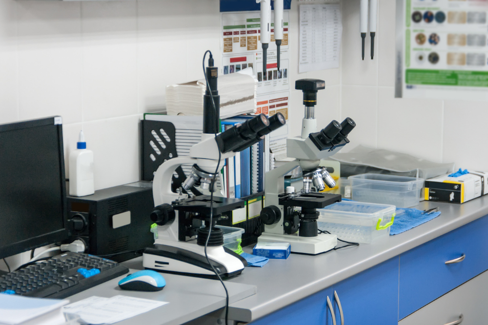Laboratuvar ve Görüntüleme Hizmetleri